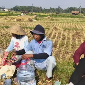full_1788516113420969_8fe9c0be05_berita_cirebon full_1788516113420969_8fe9c0be05_berita_cirebon